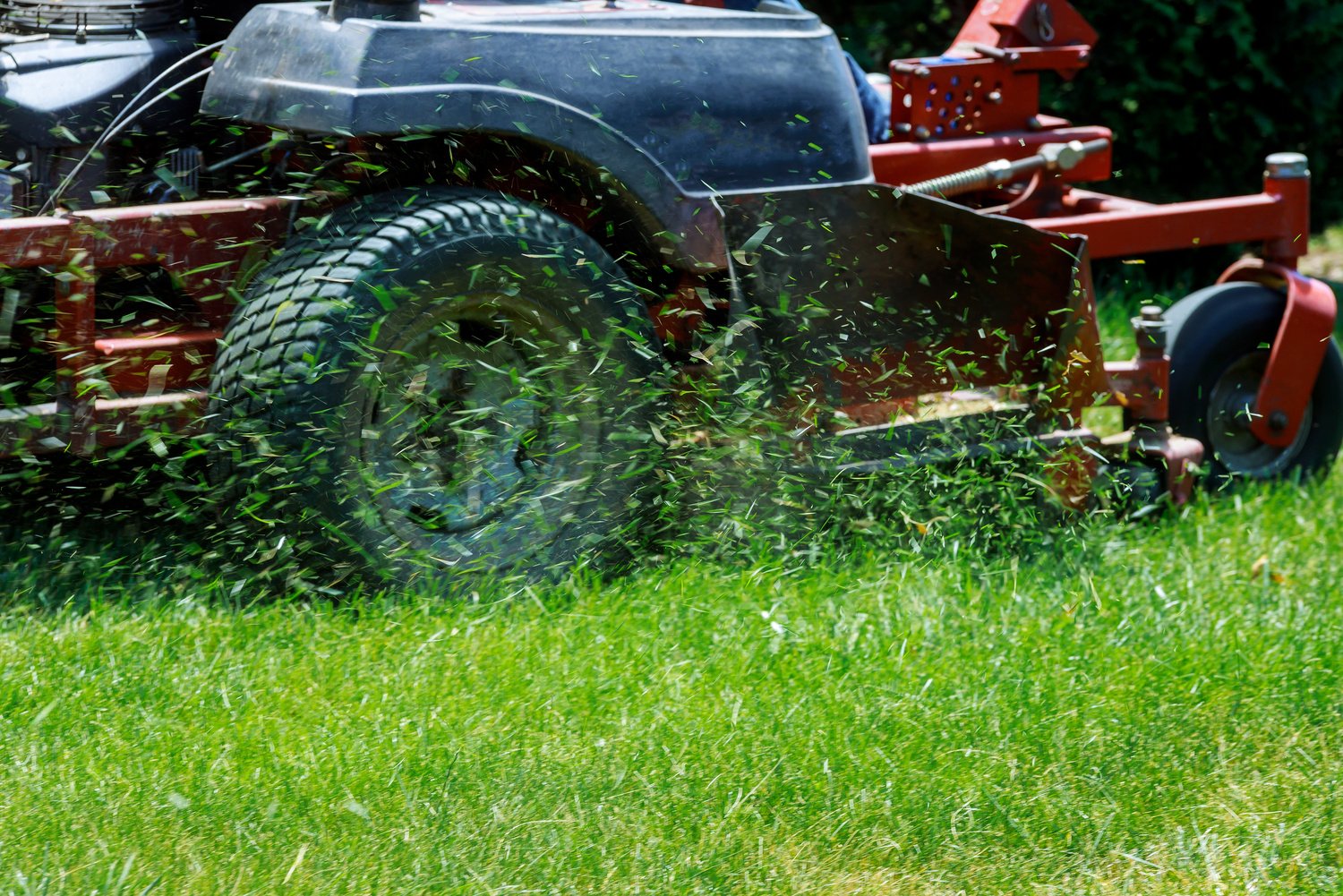 Closeup of Grassmower Mowing 